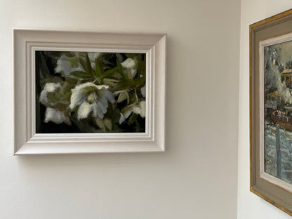 Dance of Hellebores