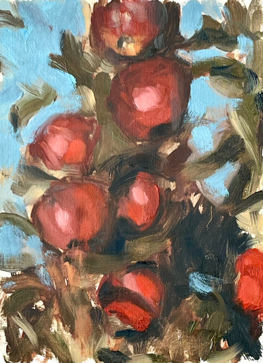 Light at the Orchard