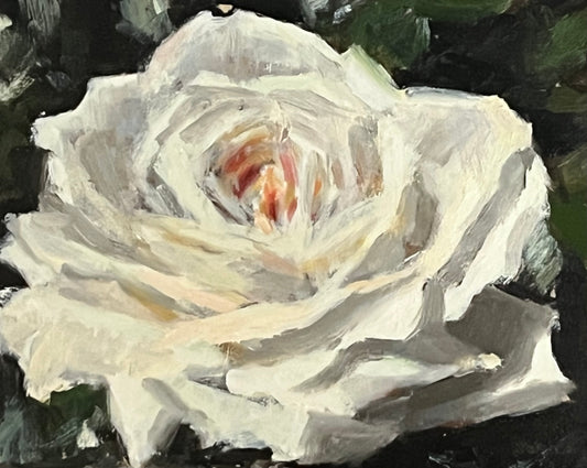 White Rose