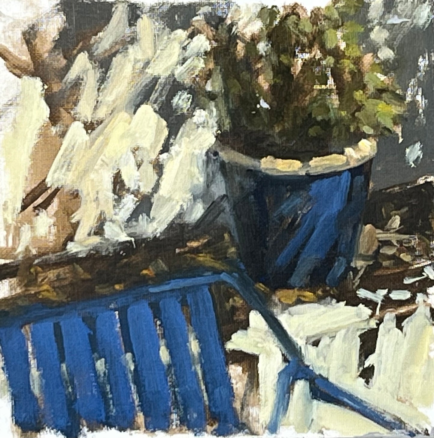 Sunlight on Garden Pot