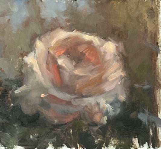 Ode to a Rose