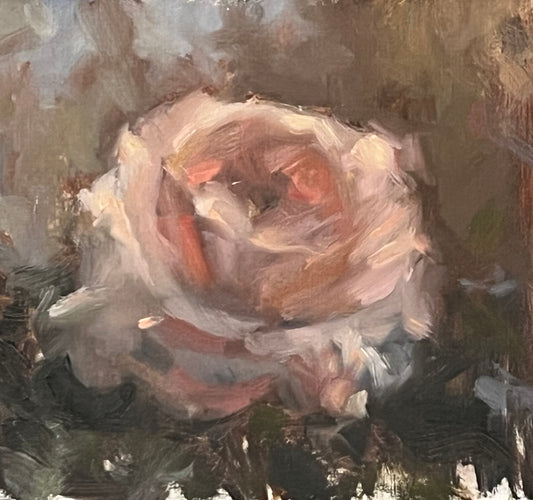 Rose Study