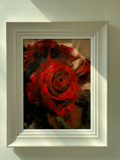 Red Rose Study