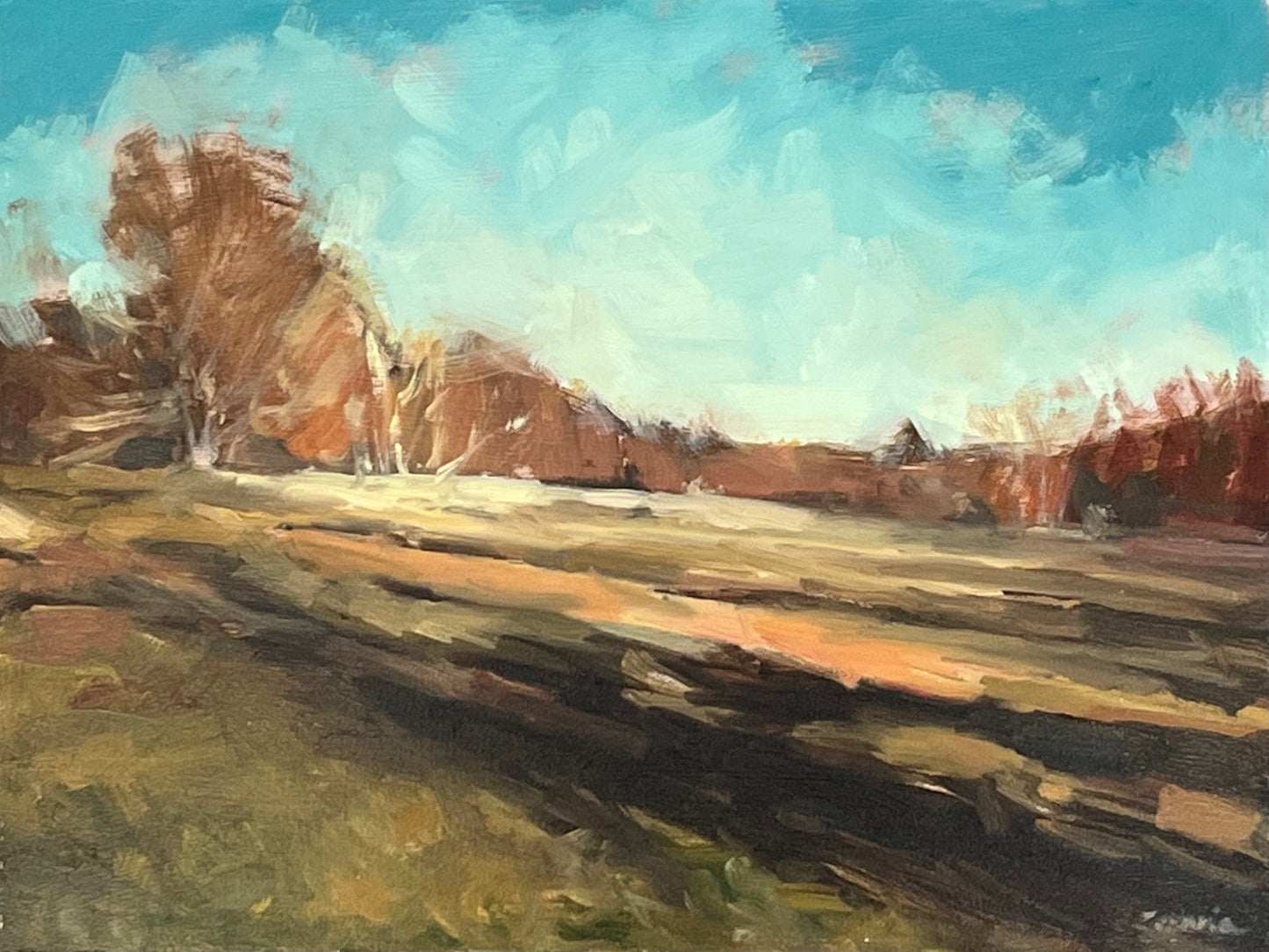 Autumn Morning Sun on the Heath