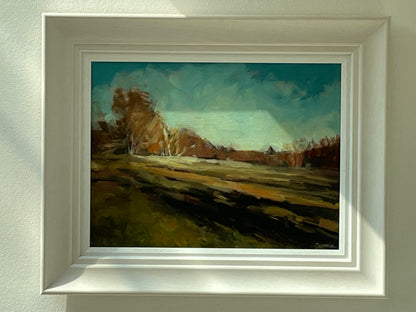 Autumn Morning Sun on the Heath