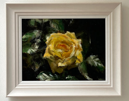 Yellow Garden Rose