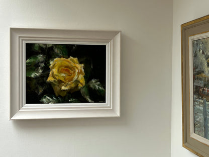Yellow Garden Rose