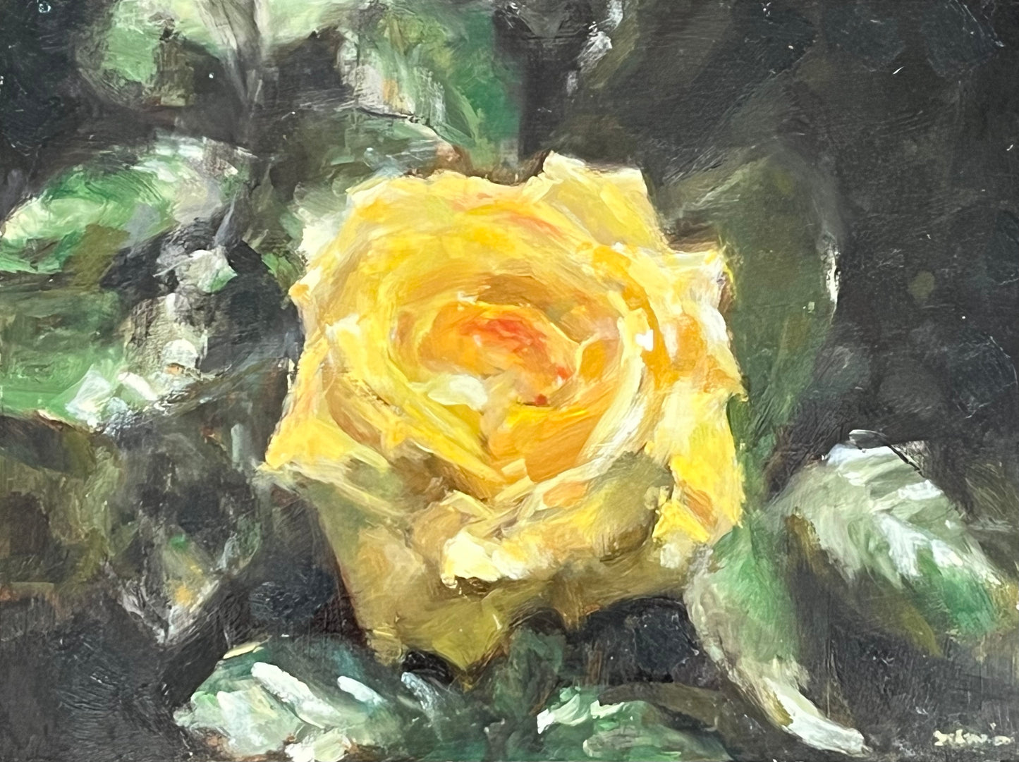 Yellow Garden Rose