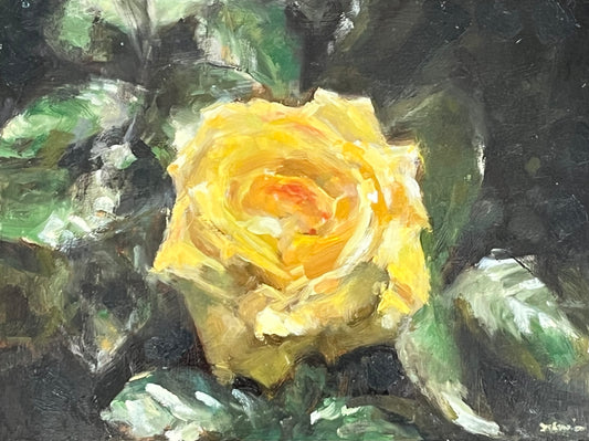 Yellow Garden Rose