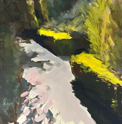 Light on the Path