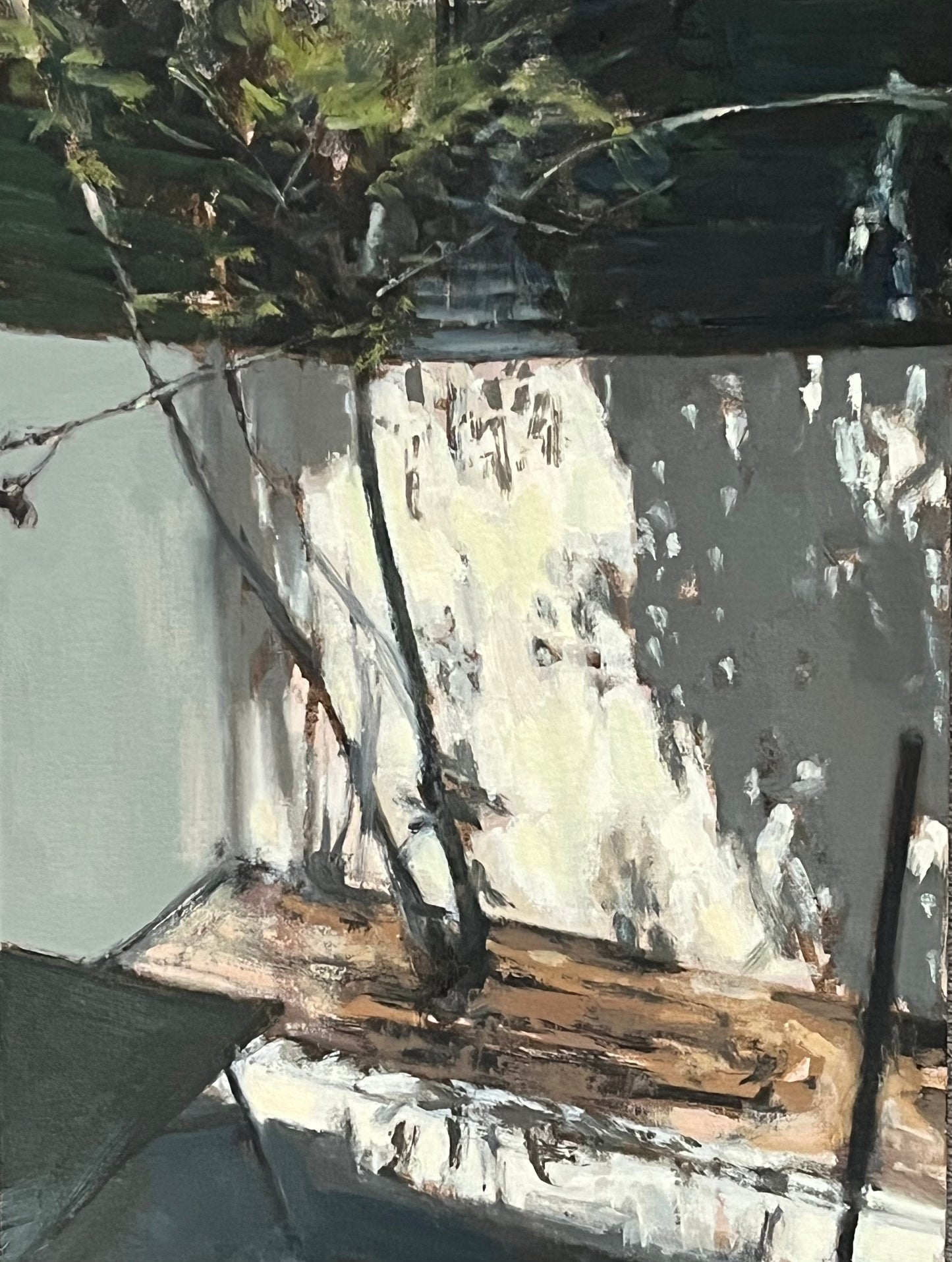 Afternoon Light on the Patio