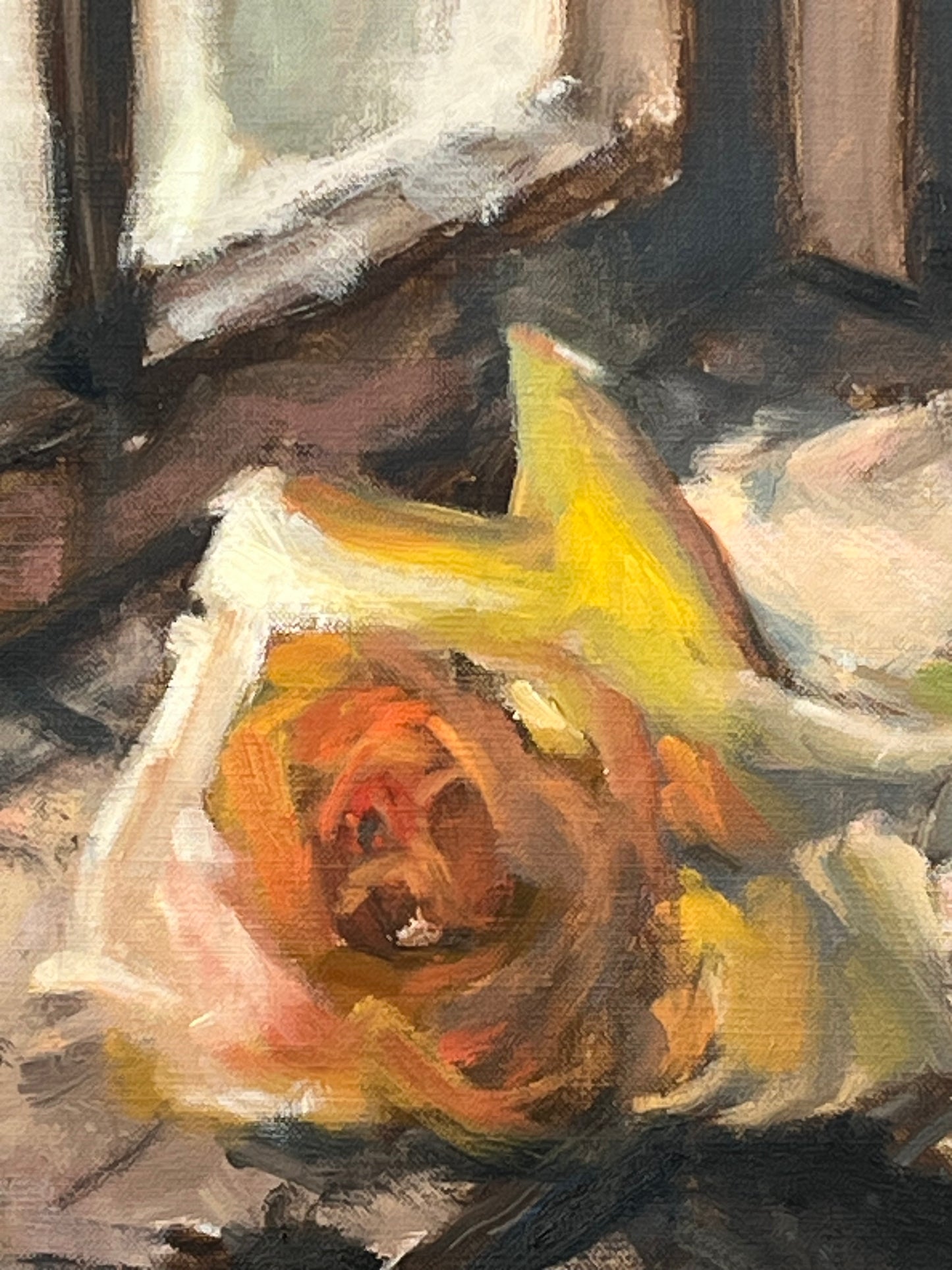 Yellow Rose, Window Light
