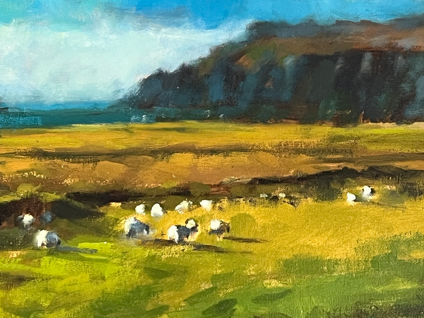 Daybreak at the Coast