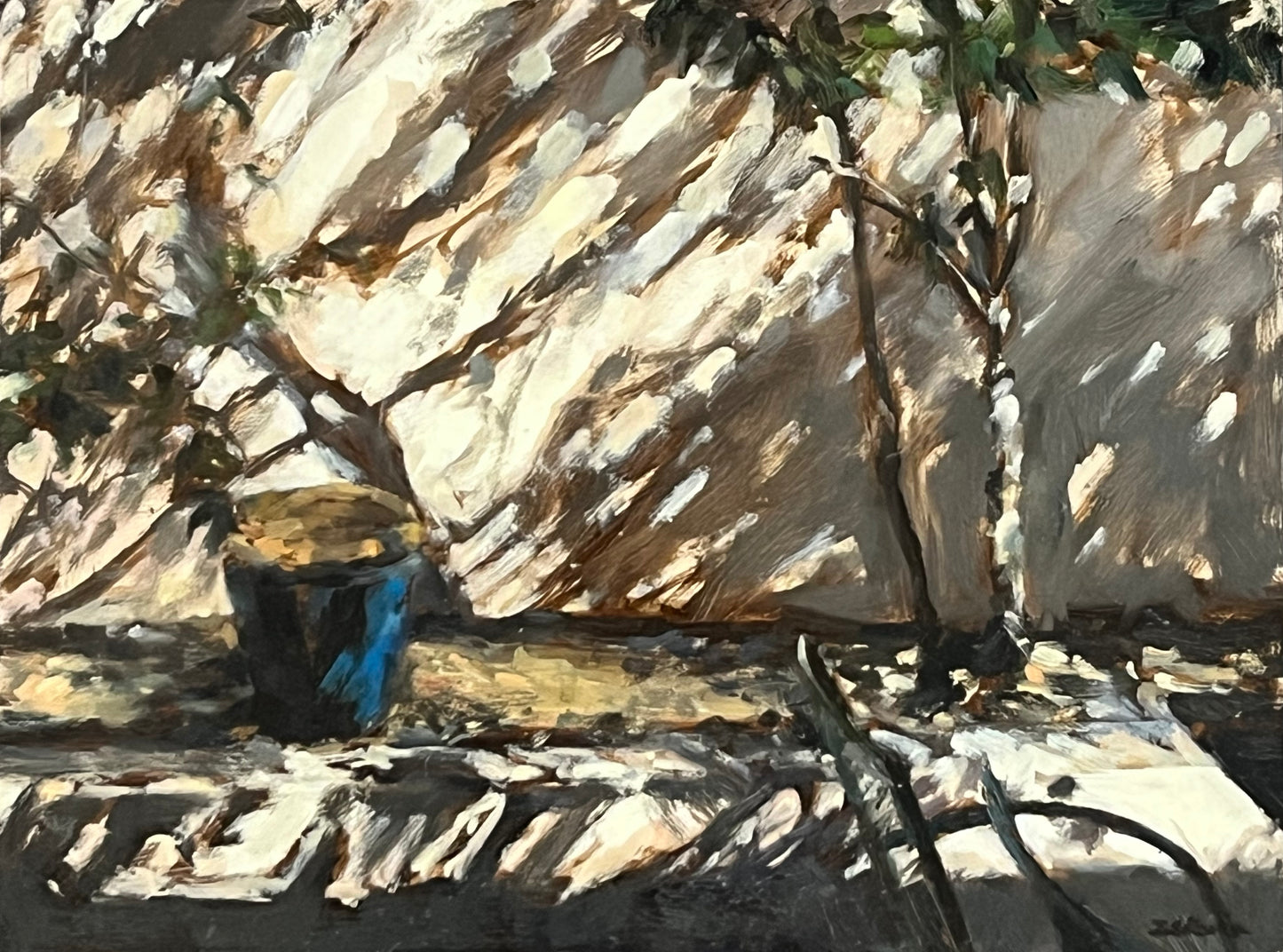 Blue Garden Pot, Strong Sunlight