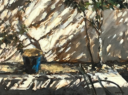 Blue Garden Pot, Strong Sunlight