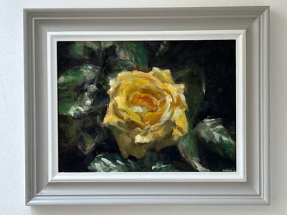 Yellow Rose, Full Bloom