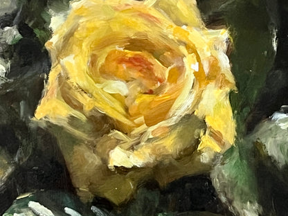 Yellow Rose, Full Bloom