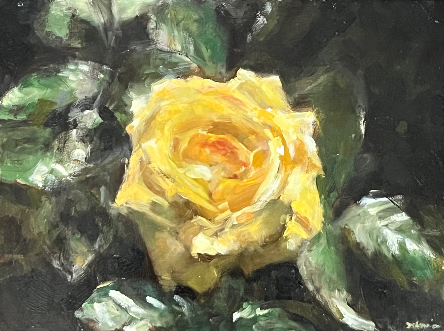 Yellow Rose, Full Bloom