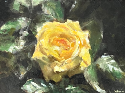 Yellow Rose, Full Bloom