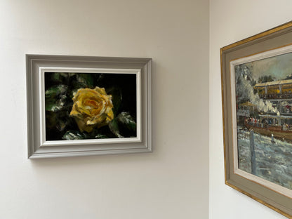 Yellow Rose, Full Bloom