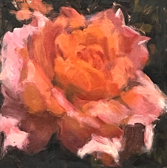 Rose Study