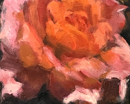Rose Study