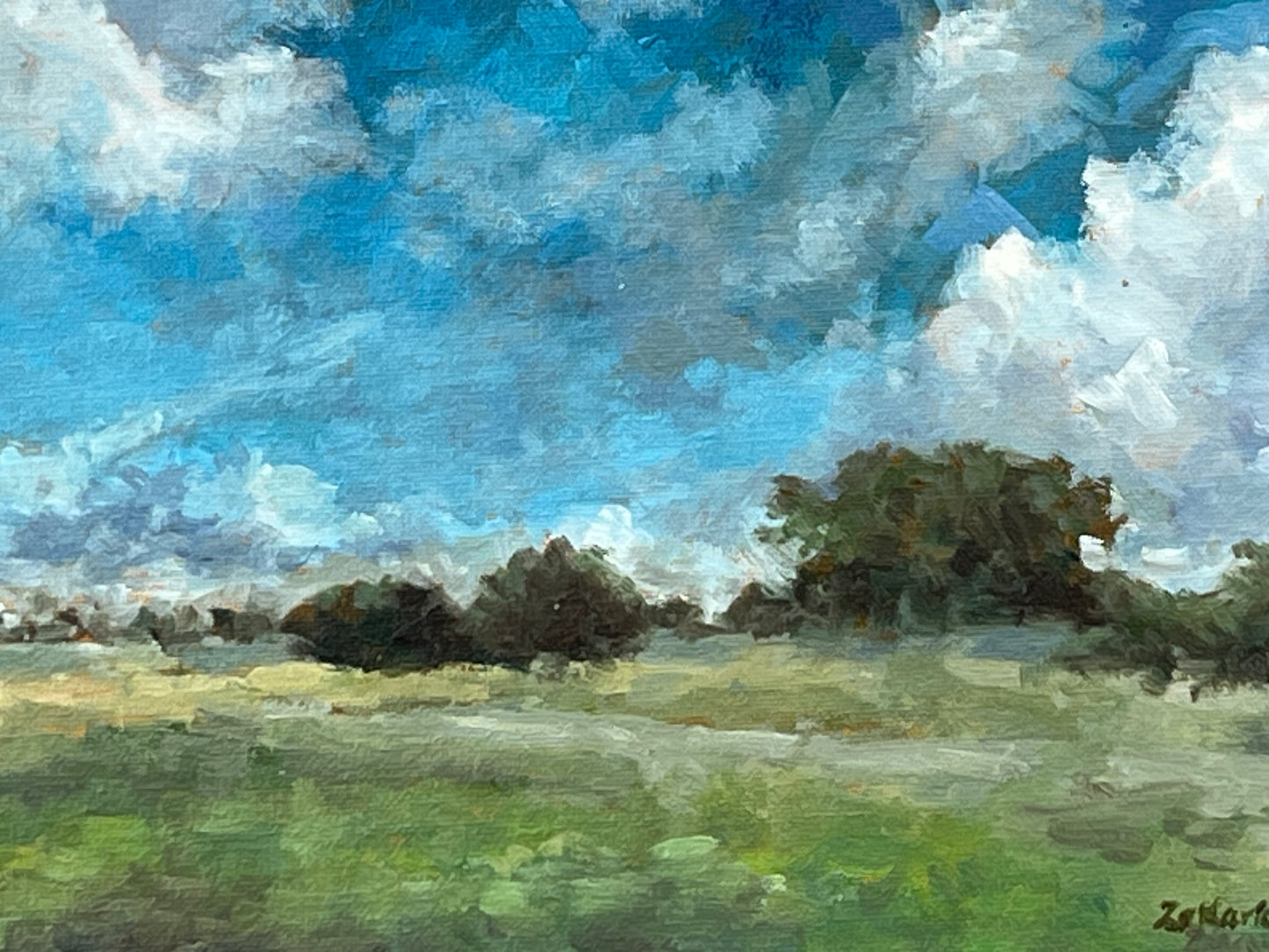 Summer Skies, Dorset