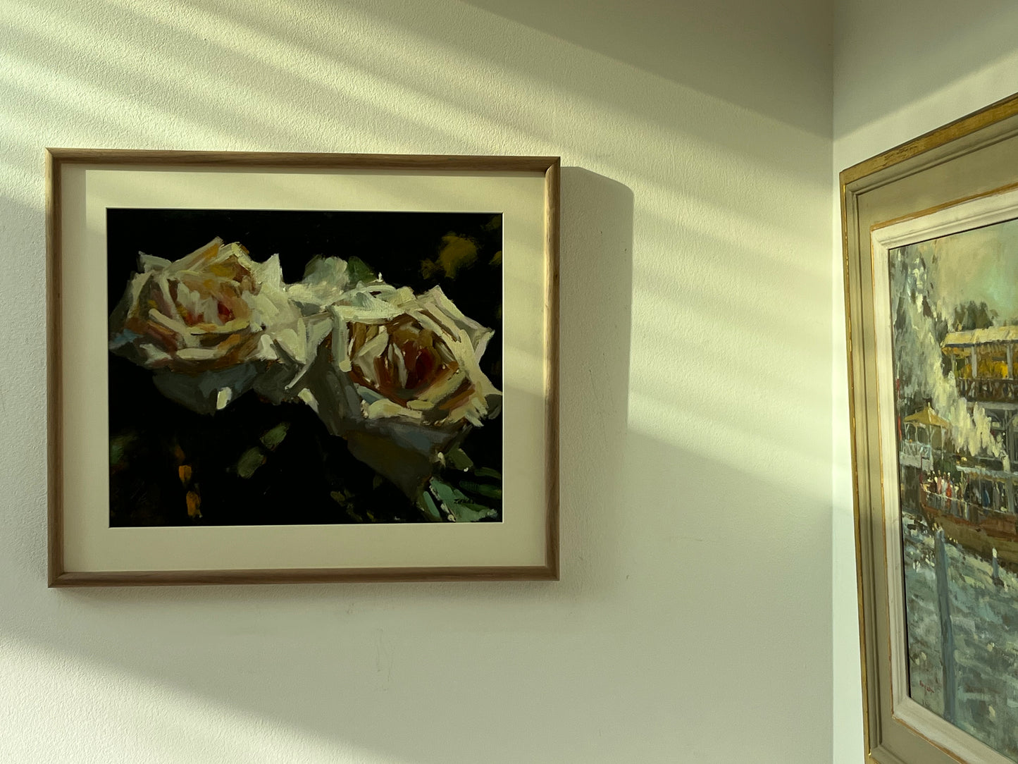 Garden Roses in Sunlight