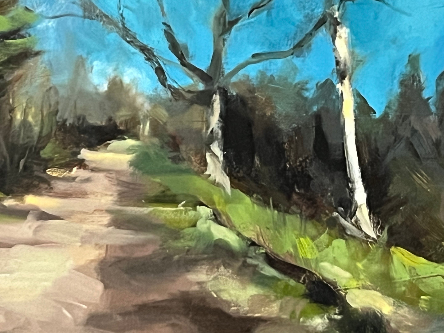 Summer Path, Hampstead Heath