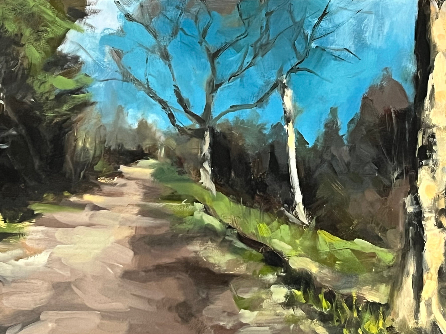 Summer Path, Hampstead Heath