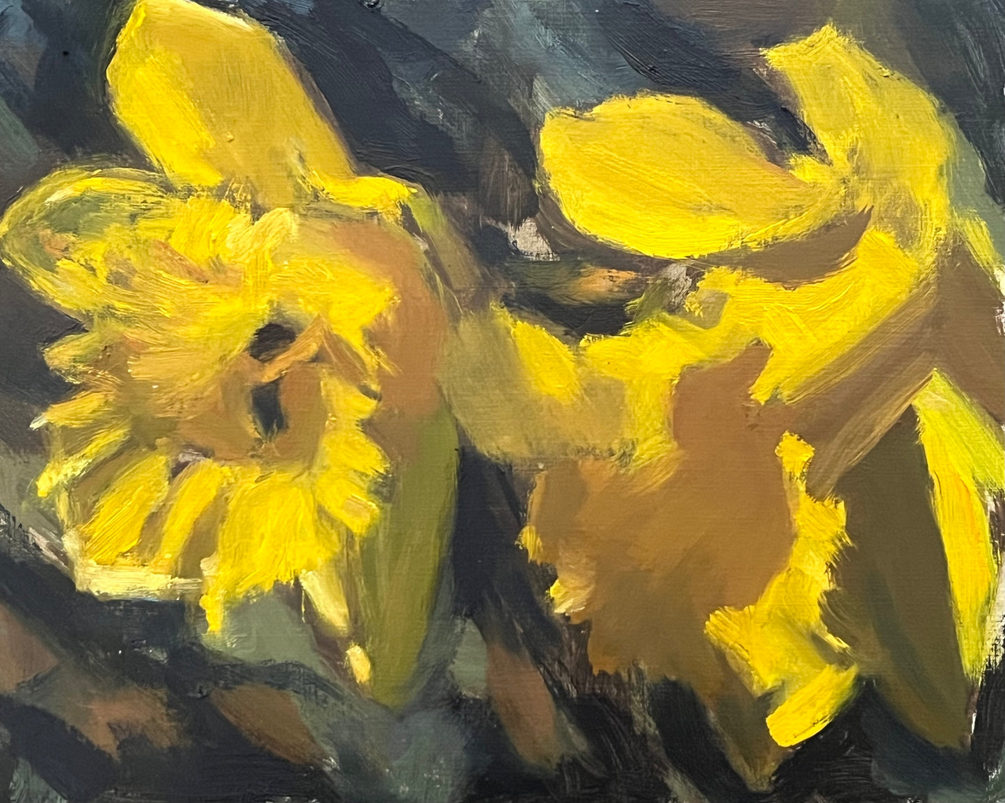 Daffodils in Light