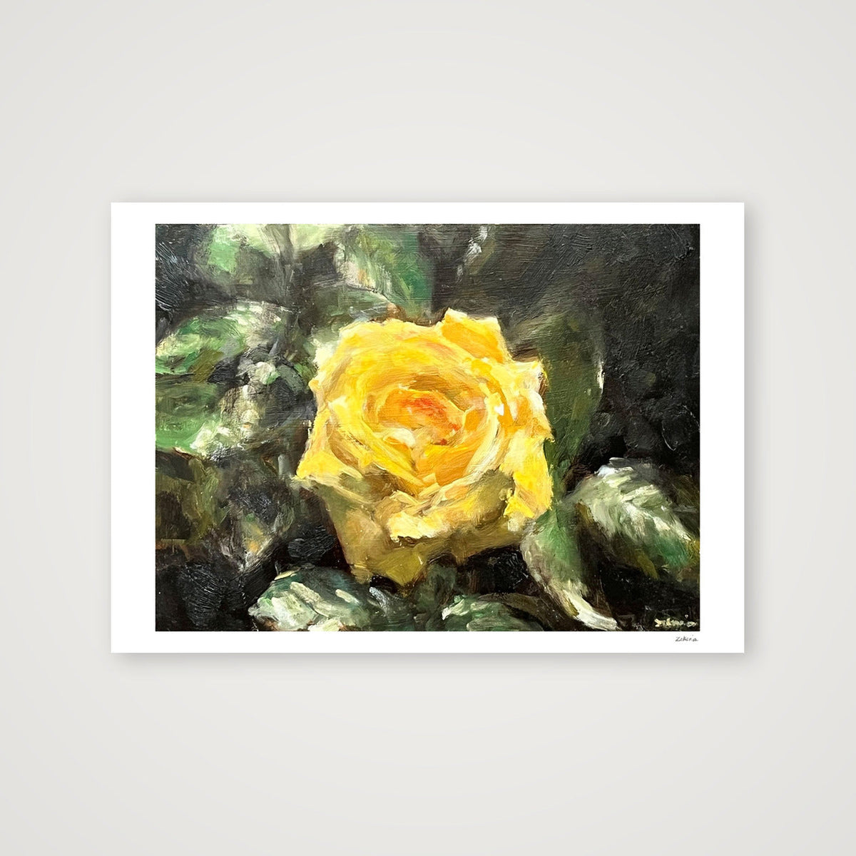 Splendour of the Rose — 59×42cm, 23×17" Print only