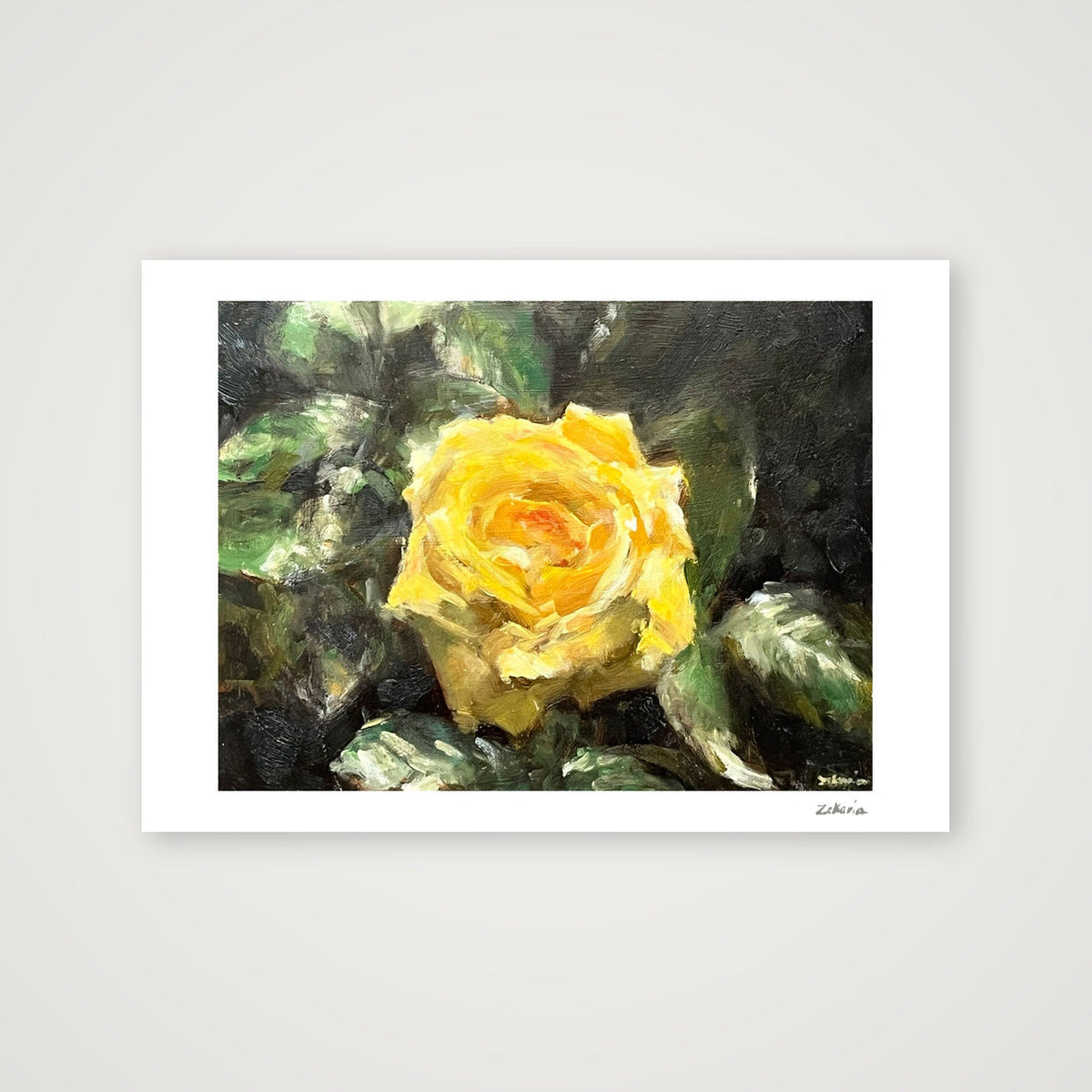 Splendour of the Rose — A4 (30×21cm, 12×8") Print only