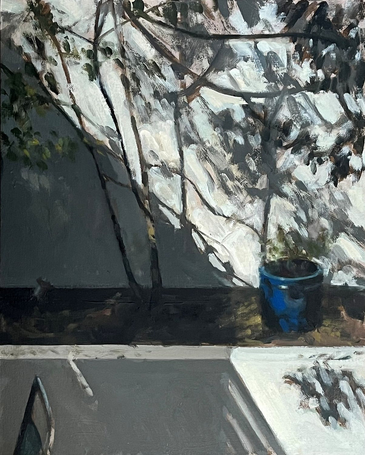Blue Pot and Patio Wall, Sun and Shadow