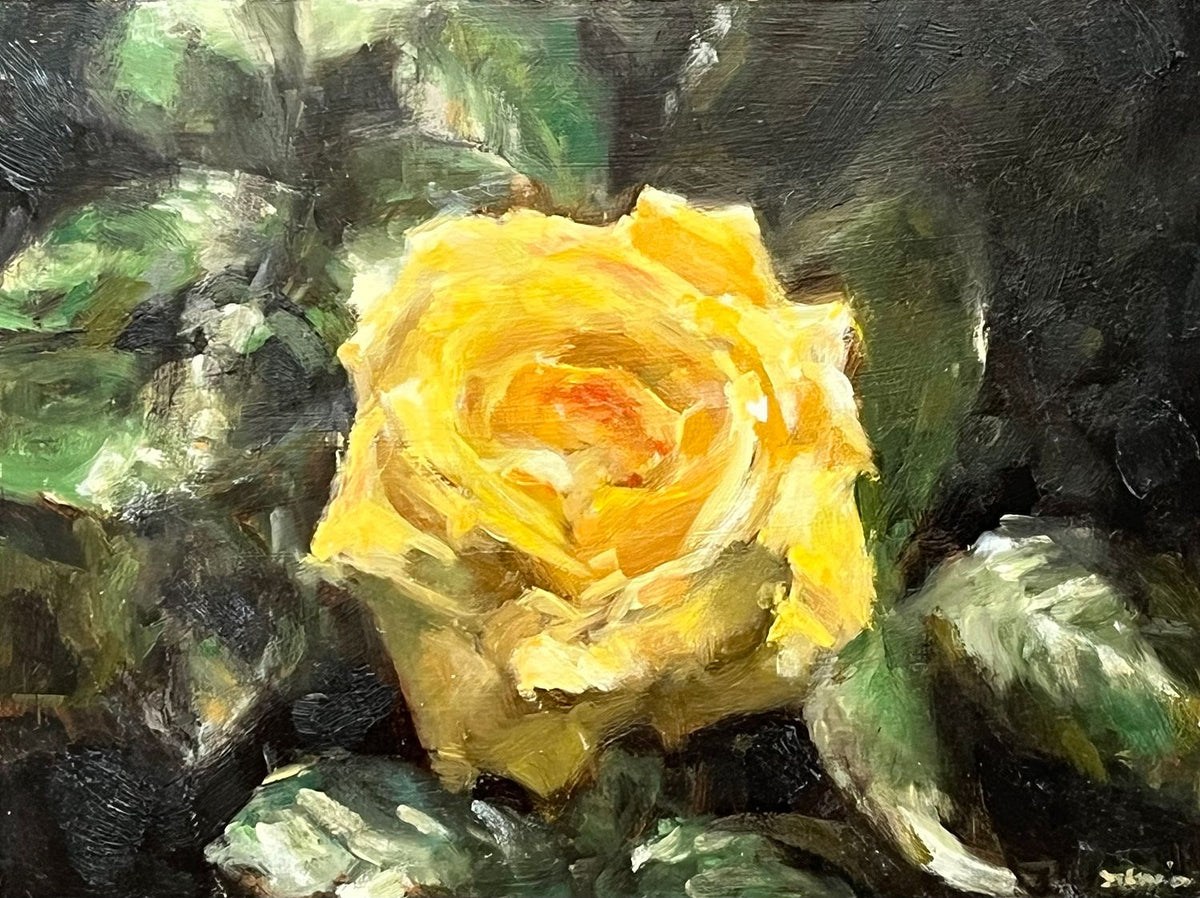 Splendour of the Rose